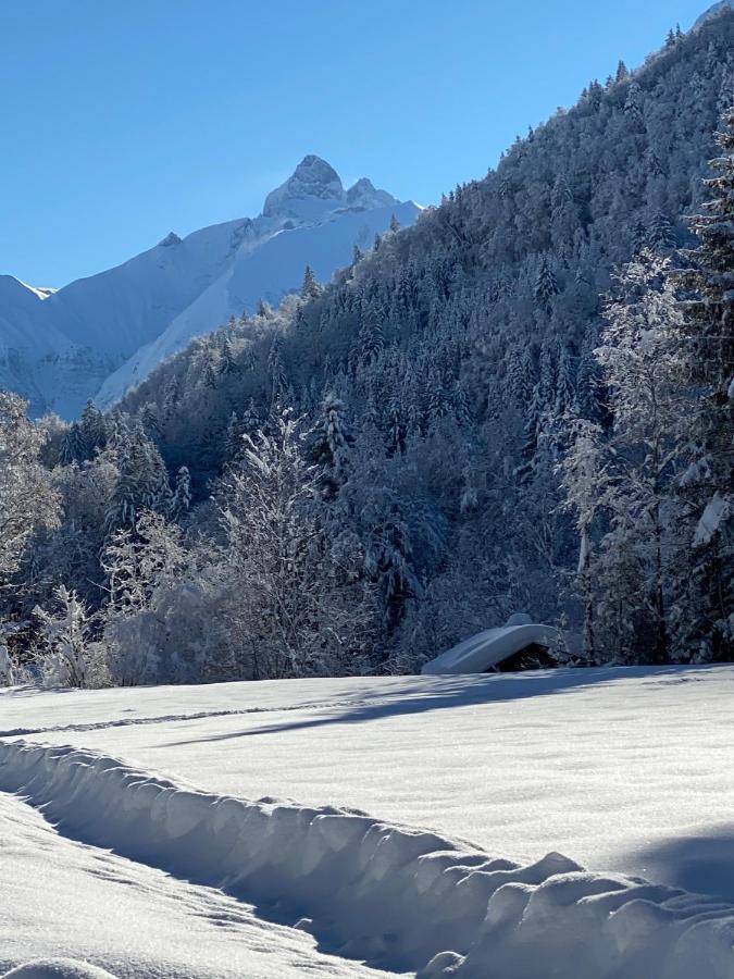 Landhaus Am Plattenbichl - Luxus Apartment Mit Privat-Pool Und Sauna - Im Sommer Bergbahn Inklusive Oberstdorf Bagian luar foto