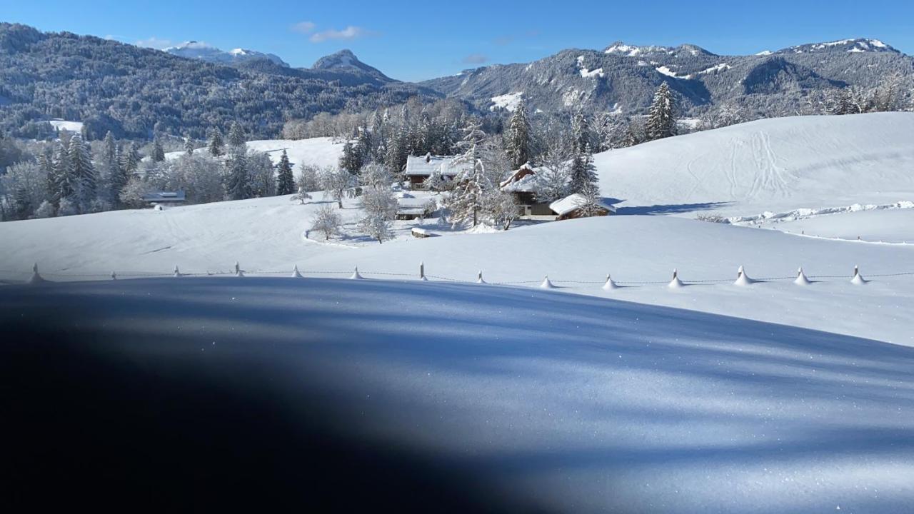 Landhaus Am Plattenbichl - Luxus Apartment Mit Privat-Pool Und Sauna - Im Sommer Bergbahn Inklusive Oberstdorf Bagian luar foto