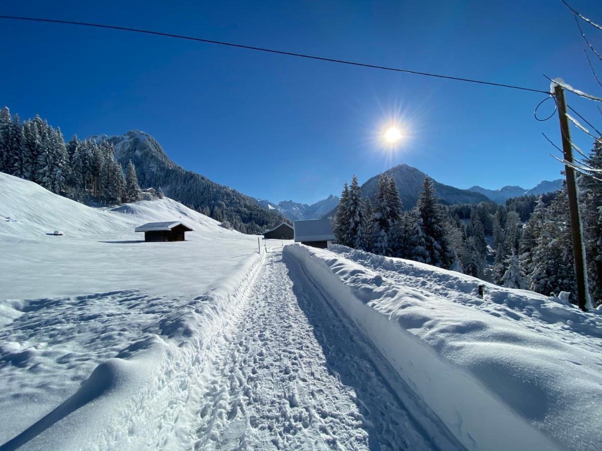 Landhaus Am Plattenbichl - Luxus Apartment Mit Privat-Pool Und Sauna - Im Sommer Bergbahn Inklusive Oberstdorf Bagian luar foto