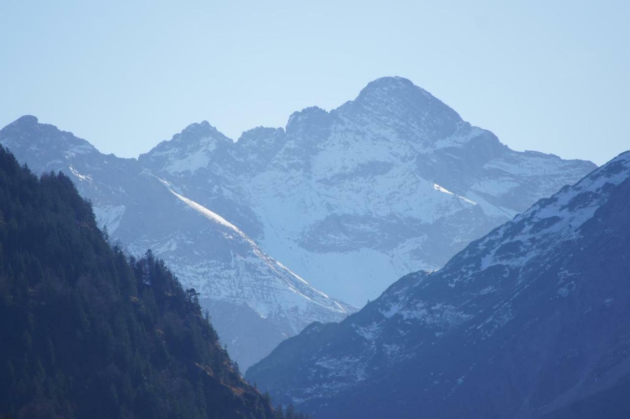 Landhaus Am Plattenbichl - Luxus Apartment Mit Privat-Pool Und Sauna - Im Sommer Bergbahn Inklusive Oberstdorf Bagian luar foto